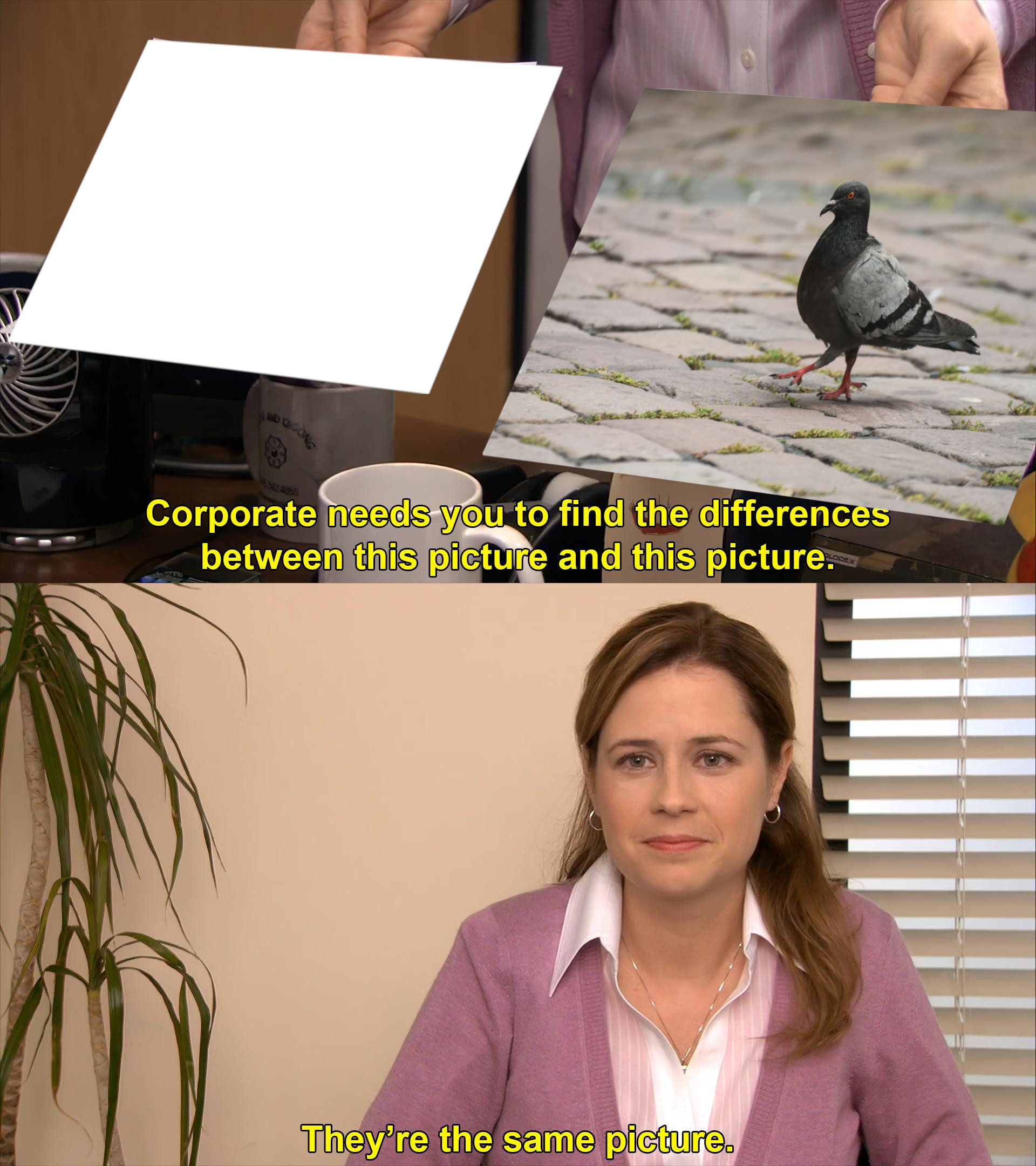 meme template